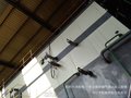 杭州六浩机电优质供应锅炉SNCR/SCR脱硝喷枪