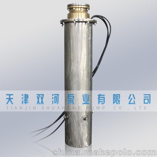 耐腐蝕海水泵	耐海水潛水泵	不銹鋼深井多級潛水泵圖片