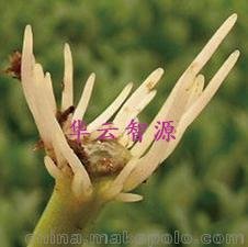 َ 0.25%  (yu)|(zh)mM(jn)