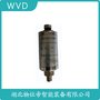 DWQZ-8108-02-A25-B05-C-01-D02振動(dòng)傳感器 WVD