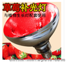 草莓灯40元/套