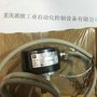 倍加福RHI90系列编码器