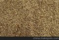 河北巨鹿臻兴饲料供应啤酒糟信誉保证