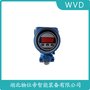 DB51A投入式液位變送器 WVD