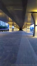 广州猎德大桥30W双头壁灯2000K色温亮化效果
