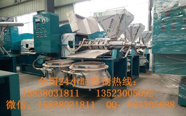 多功能菜籽榨油機 安全可靠 花生榨油機廠家優(yōu)質(zhì)采購圖片