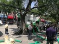 九九八 科技无害化环保分离式吸粪车环保净化车