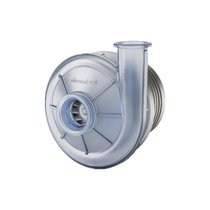 (yng)micronelL(fng)C(j)