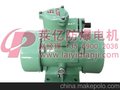 BZD10-4 ExdⅡ CT4型0.55KW氢气乙炔用防爆振动电机