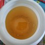 供应PVDF乳液 聚偏氟乙烯溶液 高粘度粘结剂用PVDF油性溶液
