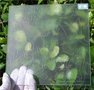 品质卓越油砂效果蒙砂粉
