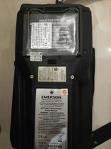 EMERSON TREXLFPNAWS1ֲ