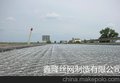 黄河支流节水改造 边坡绿化 石笼网河北厂家直销 报价便宜