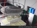 玳玳花油价格