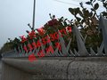 直销优质刺钉@防爬刺钉@围墙刺钉@规格齐全价格优惠