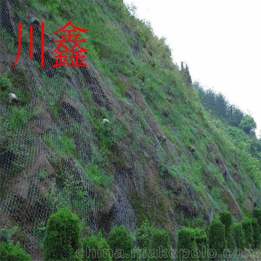 廠家加工供應(yīng)鍍鋅包塑勾花網(wǎng)、格柵網(wǎng)、鐵絲勾花網(wǎng)圖片