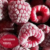 大量出售树莓果  速冻果 A品 碎粒 整吨出售 黑龙江基地冷库直发