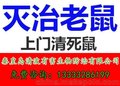 秦皇岛灭鼠 秦皇岛除四害公司 秦皇岛灭鼠灭蟑螂灭虫