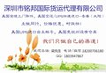 供应保健品空运快递进口清关运输，到国内派送到门服务