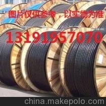 大對數通訊電纜,HYA圖片