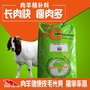 育肥羊精料补充料-肉羊绵羊催肥长的快料精 羊育肥精饲料