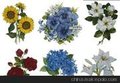 厂家供应批发玻璃花纸,欢迎来电洽谈