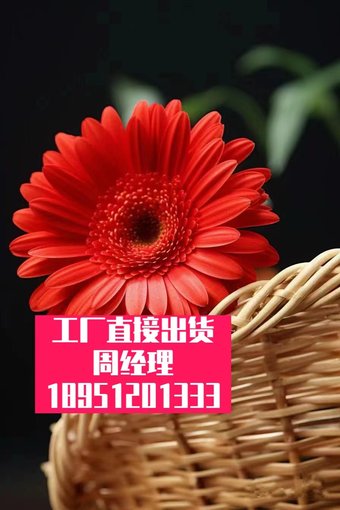 防滑襪子緩沖防滑鞋底-防滑不銹鋼復合鋼板家-居用品圖片