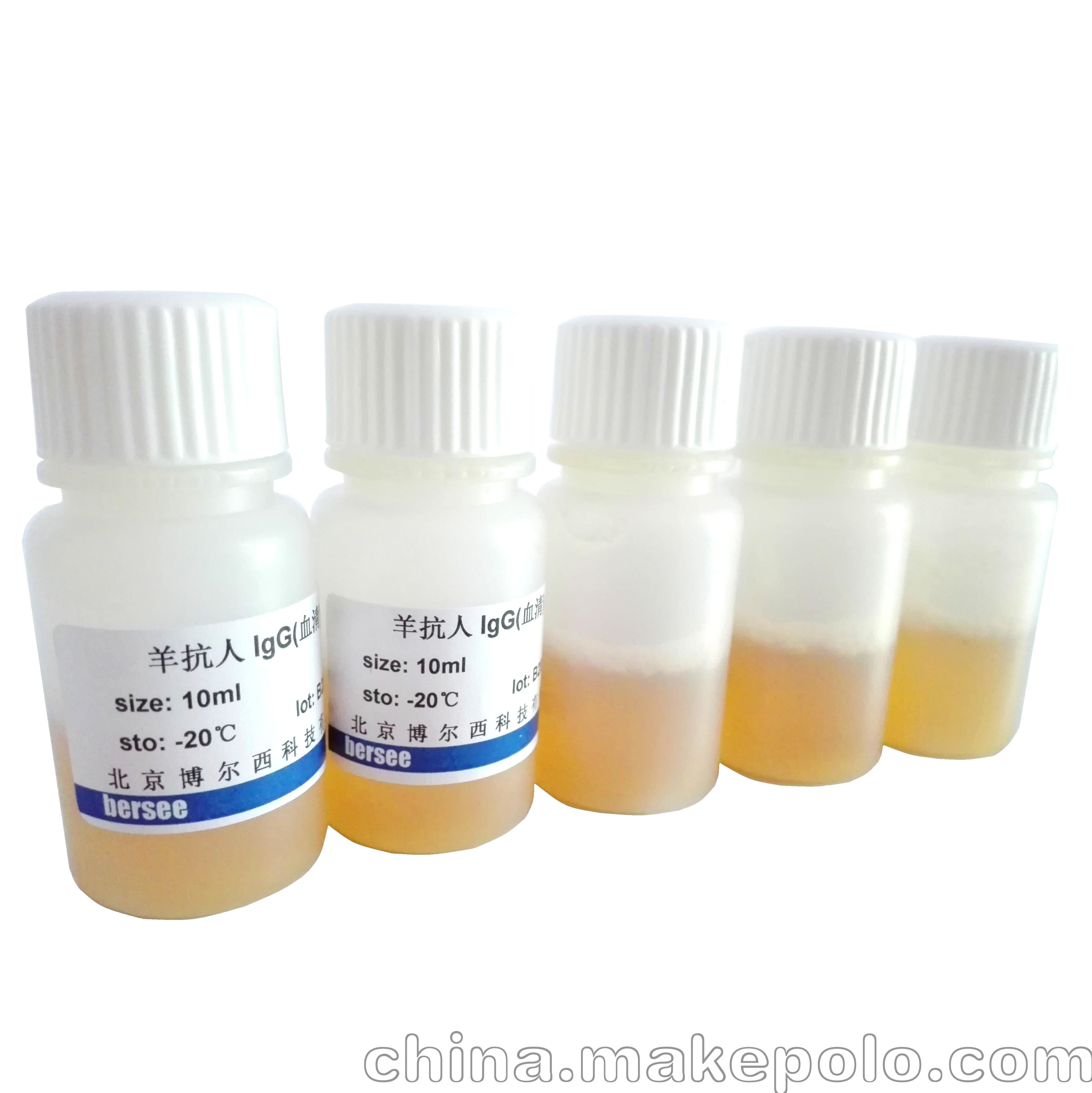 bersee品牌 羊抗人IgG血清