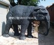 河北铜雕厂专业定制铜雕大象、人物、动物，欢迎来电