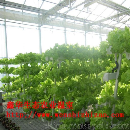 廠(chǎng)家供應 塑料加深水培定植籃 無(wú)土栽培水耕水培蔬菜定植籃批發(fā)圖片