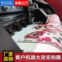 工业棉麻导带机 裁片匹布直喷印花机 星光1024织布打印机