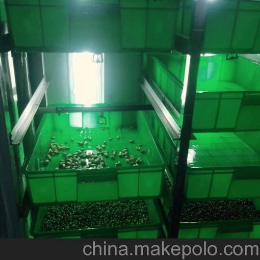 北京綠康園芽苗菜實(shí)驗基地加盟圖片