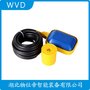 SLM-DH1/2液位開關(guān)連桿浮球式 WVD