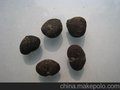 乐东似单性木兰批发价格