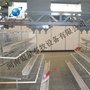 河南成品喂料机专业厂家丨周口全自动喂料机新价格 银星