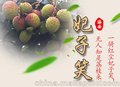 草根大叔特级海南荔枝妃子笑51偿鲜发货送礼佳品