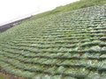 锦祥国标植生袋 山体复绿矿山复垦