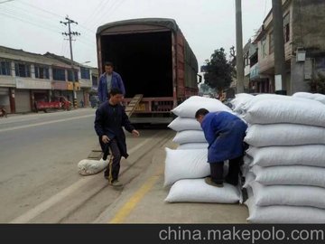 貴州茶葉種、畢節(jié)茶葉籽