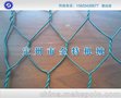 金特、正反拧六角网机、放心的产品