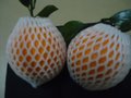 供应厂家EPE珍珠棉水果网套生产
