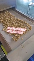 核桃微波熟化設備