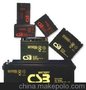 供应CSB蓄电池GPL122500CSB12v250ahUPS专用CSB长寿命
