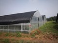 青州优质拱形温室蔬菜大棚