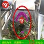 明超 叶菜气泡清洗机 清洗风干机设备 果蔬加工流水线厂家报价