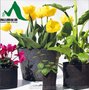 厂家直销环保土工袋，生态袋，种植袋，育苗袋，植树袋