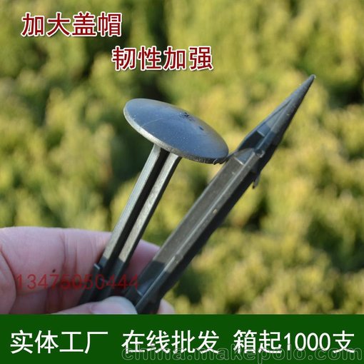 防草布地釘  除草布  塑料地釘圖片
