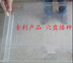 穴盘播种器600元