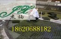梅州HDPE蓄水排水板,排水保护板,疏水板杰袖厂家活动促销