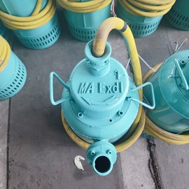 潛污泵 礦用BQS 隔爆型排沙泵