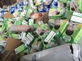 急求过期饮料的销毁 上海临期饮料酒水的销毁处理公司